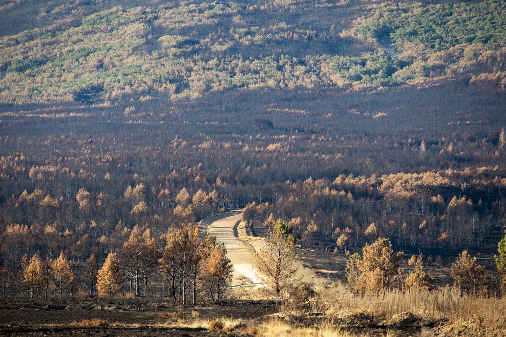 Incendio Sierra de la Culebra 01_2022